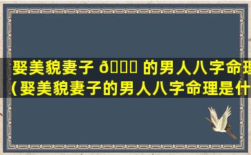 娶美貌妻子 🐞 的男人八字命理（娶美貌妻子的男人八字命理是什么）